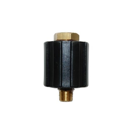 VARIOPRESS 30 LTS 250 BAR 1/4" H